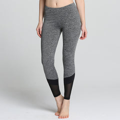 Black & Gray Casual Fitness Leggings